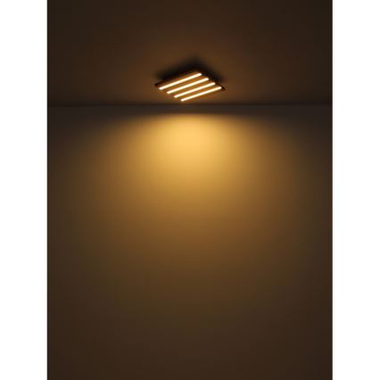 Globo - Iluminação de teto LED LED/30W/230V 3000K 80x20 cm madeira
