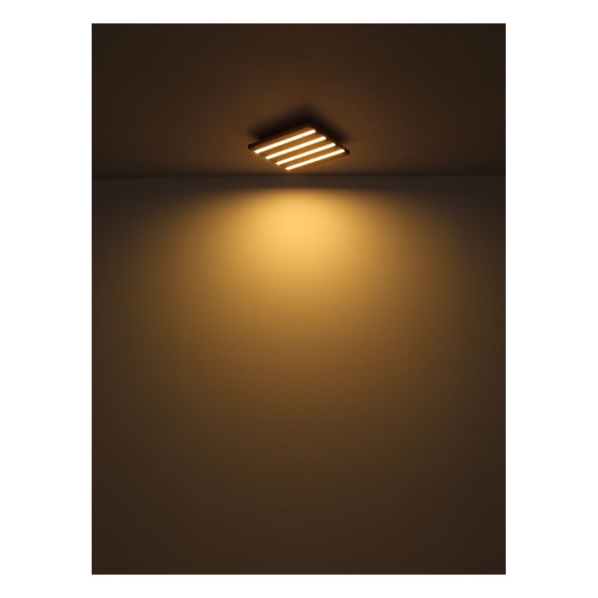 Globo - Iluminação de teto LED LED/30W/230V 3000K 80x20 cm madeira