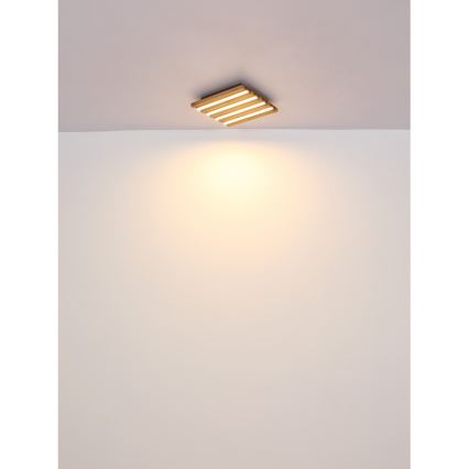 Globo - Iluminação de teto LED LED/30W/230V 3000K 80x20 cm madeira