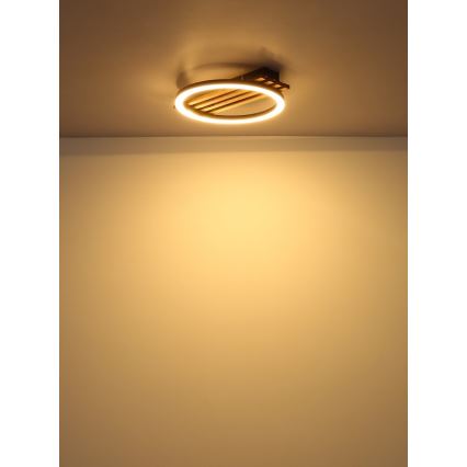 Globo - Iluminação de teto LED LED/12W/230V 3000K 30x34 cm