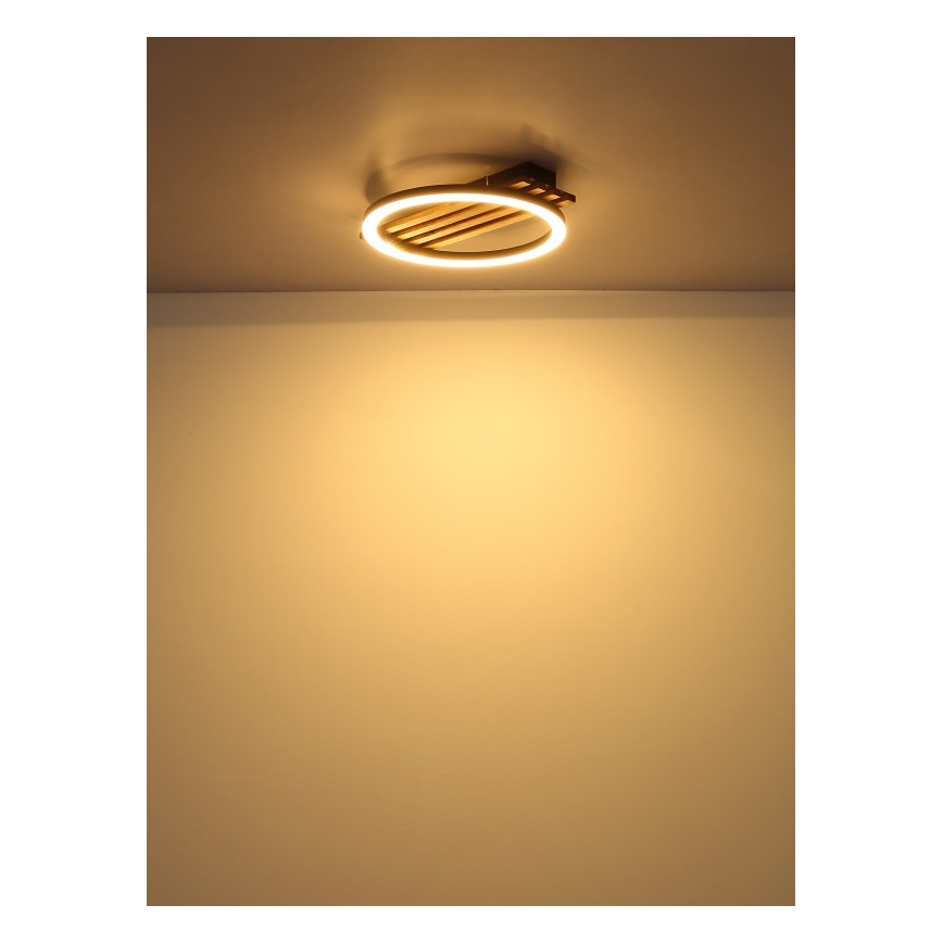 Globo - Iluminação de teto LED LED/12W/230V 3000K 30x34 cm