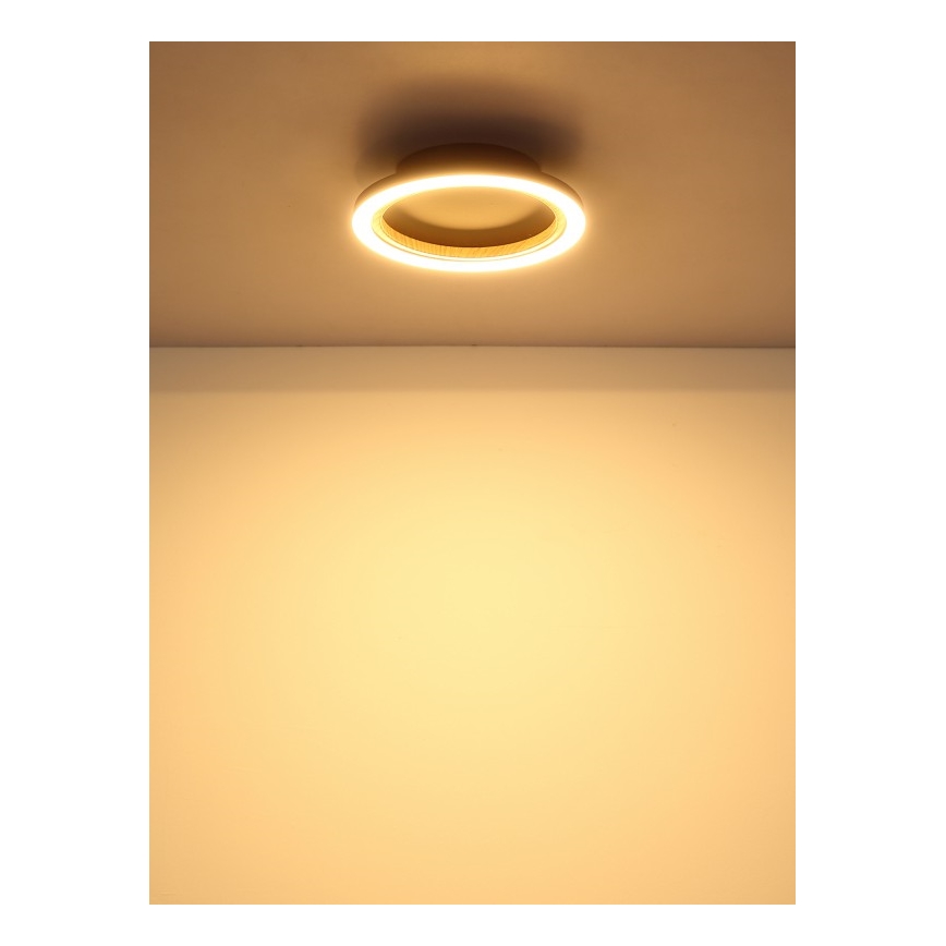Globo - Candeeiro de teto LED/12W/230V 3000K Ø 20,5 cm