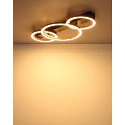 Globo - Candeeiro de tecto LED/40W/230V 3000K 58x30 cm