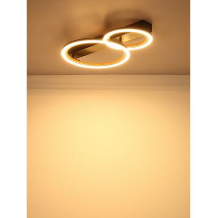 Globo - Candeeiro de tecto LED/30W/230V 3000K 44x30 cm