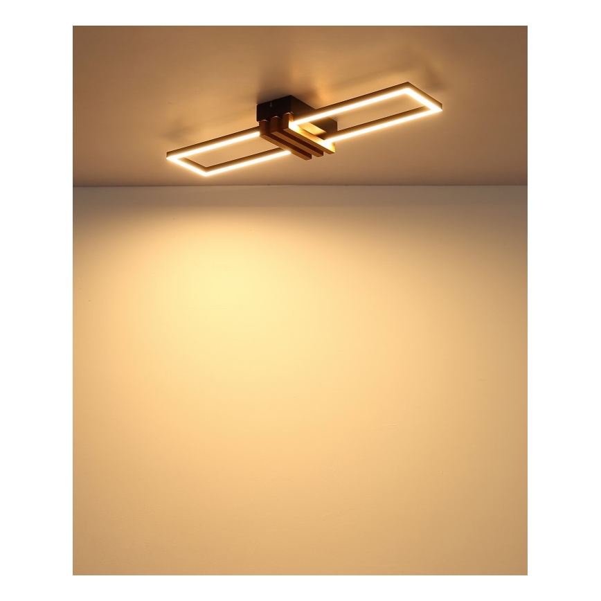 Globo - Candeeiro de tecto LED/20W/230V 3000K 60x16,8 cm