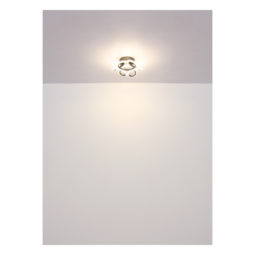Globo - Plafon LED LED/24W/230V 2700/4000/6000K diâmetro 26 cm preto