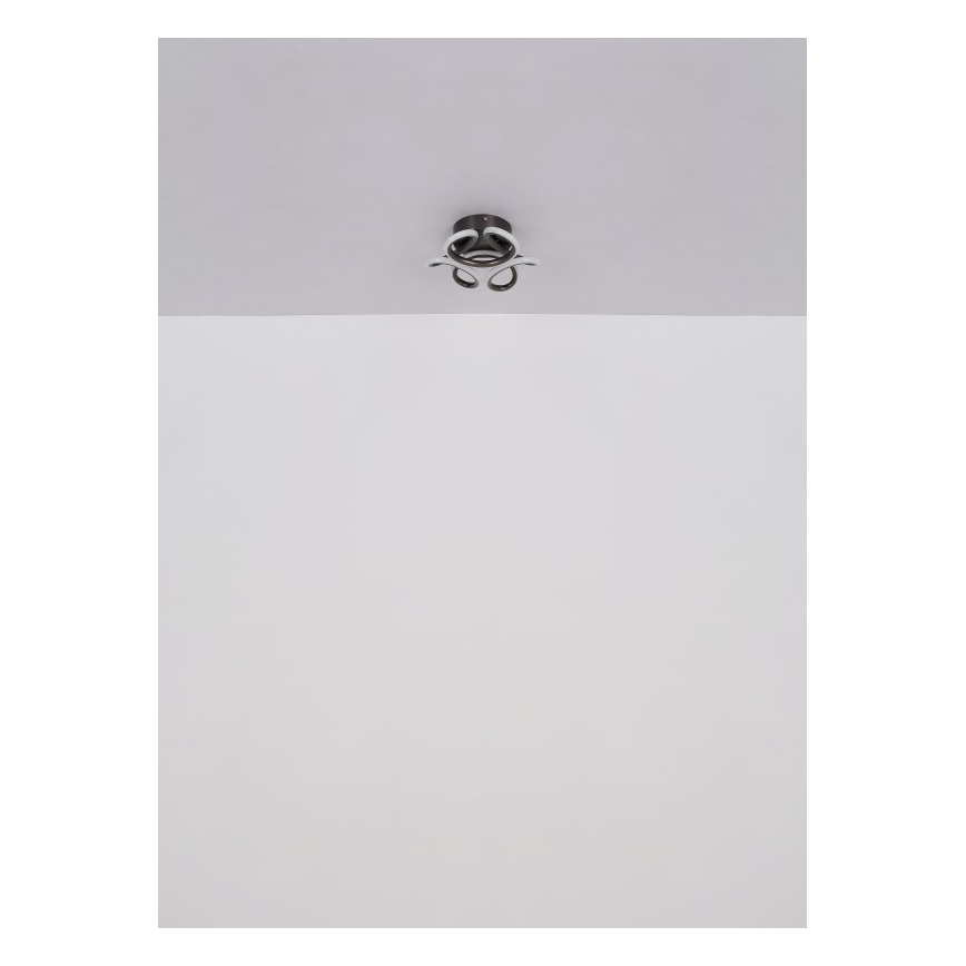 Globo - Plafon LED LED/24W/230V 2700/4000/6000K diâmetro 26 cm preto