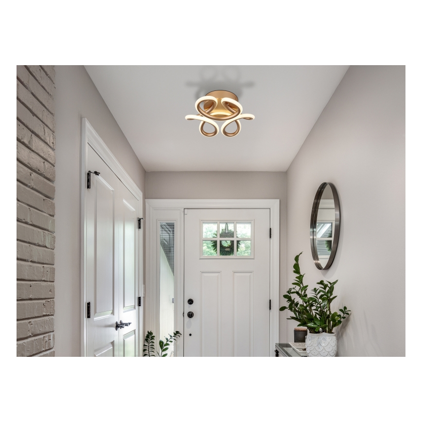Globo - Iluminação de teto LED LED/24W/230V 2700/4000/6000K diâmetro 26 cm dourado