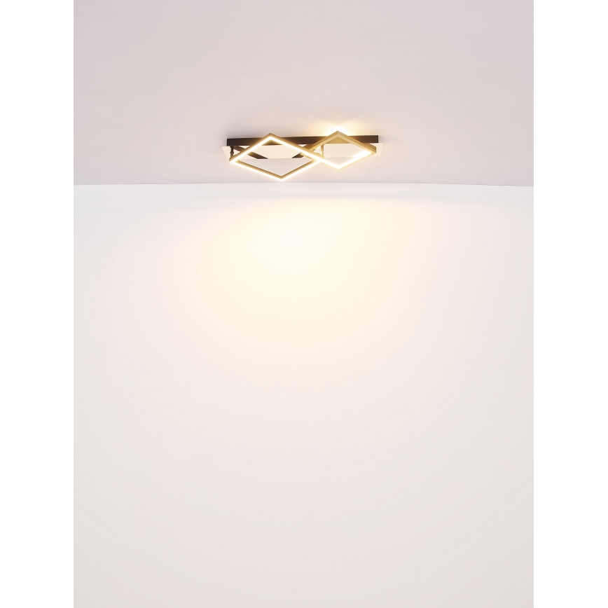 Globo - Iluminação de teto LED LED/24W/230V 3000K