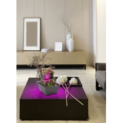 Globo - LED RGB Fonte decorativa LED/0,13W/230V