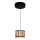 Globo - Candelabro num fio LED LED/6W/230V