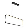 Globo - Candelabro suspenso LED LED/24W/230V