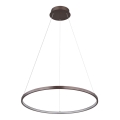 Globo - Candelabro suspenso LED LED/29W/230V castanho