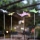 Globo - CONJUNTO 4x Iluminação solar LED LED/0,06W/3V IP44