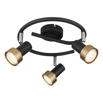 Globo - Foco  3xGU10/25W/230V preto/dourado