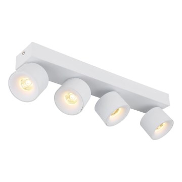 Globo - Foco LED 4xLED/6W/230V branco