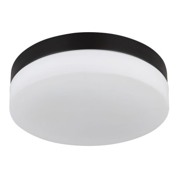 Globo - Iluminação de casa de banho 2xE27/60W/230V diâmetro 24 cm IP44