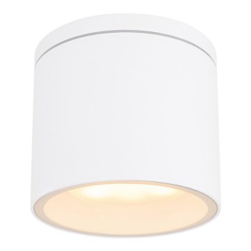 Globo - Iluminação de teto exterior 1xGX53/11W/230V IP44