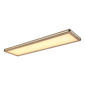 Globo - Iluminação de teto LED com regulação LED/36W/230V 3000K 30x120 cm