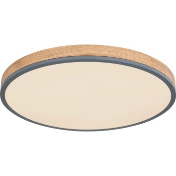 Globo - Iluminação de teto LED com regulação LED/40W/230V 2700-6500K diâmetro 60 cm + comando castanho/cinzento
