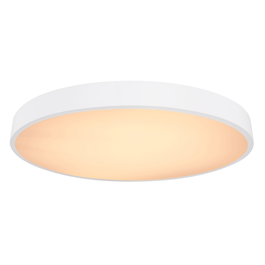 Globo - Iluminação de teto LED com regulação LED/48W/230V 3000-6000K + comando