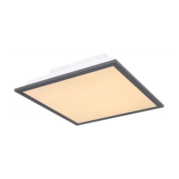 Globo - Iluminação de teto LED LED/12W + LED/4W/230V