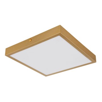 Globo - Iluminação de teto LED LED/15W/230V 25x25 cm