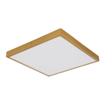 Globo - Iluminação de teto LED LED/22W/230V 35x35 cm
