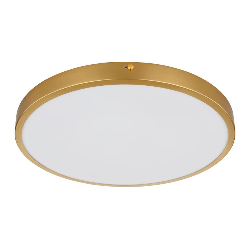 Globo - Iluminação de teto LED LED/22W/230V diâmetro 35 cm