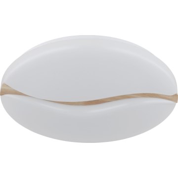 Globo - Iluminação de teto LED LED/24W/230V 3000/4200/6000K diâmetro 33 cm
