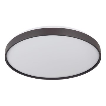 Globo - Iluminação de teto LED LED/24W/230V diâmetro 48 cm antracite