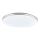 GLOBO - Iluminação de teto LED LED/24W/230V