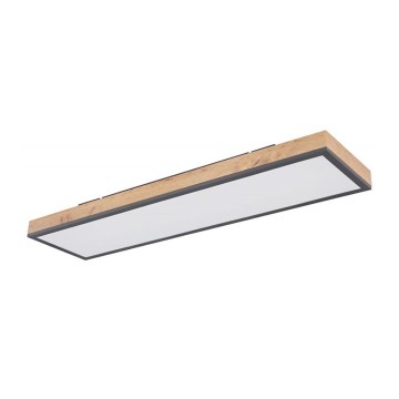 Globo - Iluminação de teto LED LED/24W/230V