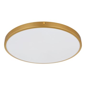 Globo - Iluminação de teto LED LED/30W/230V diâmetro 45 cm