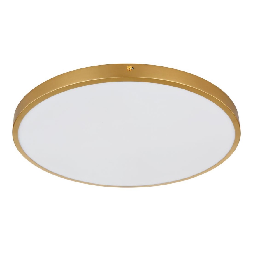 Globo - Iluminação de teto LED LED/30W/230V diâmetro 45 cm