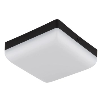 Globo - Iluminação de teto LED LED/8W/230V 4000K 12x12 cm preto