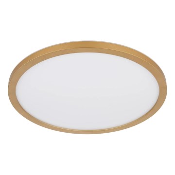 Globo - Iluminação de teto para casa de banho LED com regulação LED/24W/230V 3000K IP44 diâmetro 42 cm latão