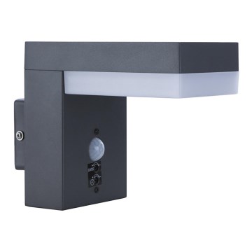 Globo - Iluminação exterior LED com sensor LED/9,5W/230V IP44