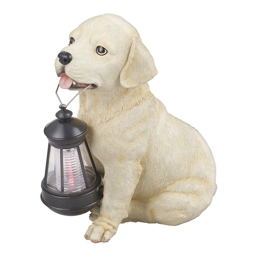 Globo - Iluminação solar LED LED/0,06W/3V cão IP44 600 mAh