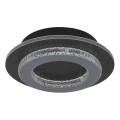 Globo - Luminária de teto LED/12W/230V 3000/4000/6500K diâmetro 20 cm antracite