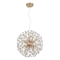 Globo - Lustre LED suspenso por cabo 8xG9/3,5W/230V dourado