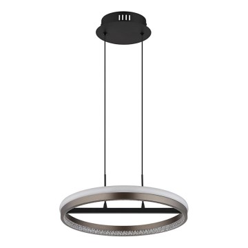 Globo - Lustre LED suspenso por cabo LED/40W/230V 3000/4000/6000K diâmetro 39,7 cm