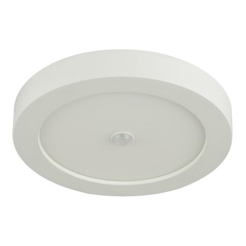 Globo - Luz de teto de exterior LED com sensor 1xLED/18W/230V IP44