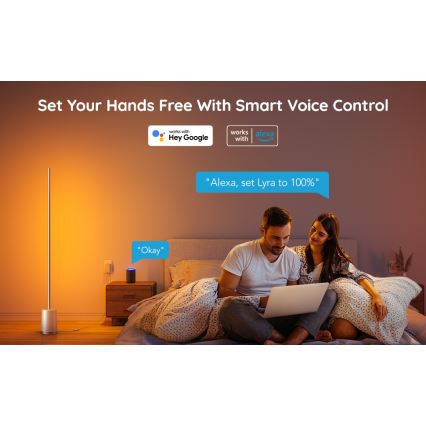 Govee - Candeeiro de chão LED com regulação Lyra Smart RGBICWW 2200-6500K Wi-Fi + comando