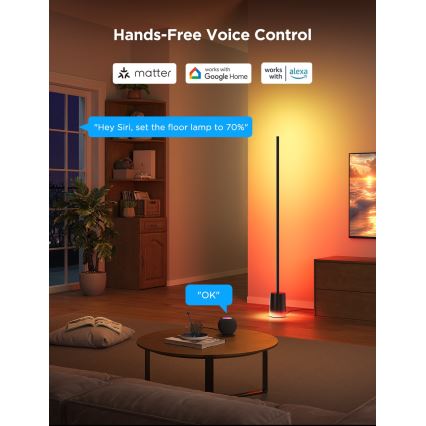 Govee - Candeeiro de chão LED com regulação Smart MATTER LED RGBICWW 2200-6500K Wi-Fi + comando