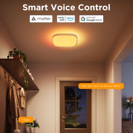 Govee - Iluminação de teto LED RGBIC com regulação LED/24W/230V 2700-6500K Wi-Fi