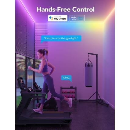 Govee - M1 PRO PREMIUM Smart RGBICW+ Tira LED 5m Wi-Fi