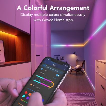 Govee - Wi-Fi RGBIC Smart PRO Tira LED 5m - extra durável