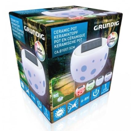 Grundig - Iluminação solar LED 2xLED/0,06W/1,2V