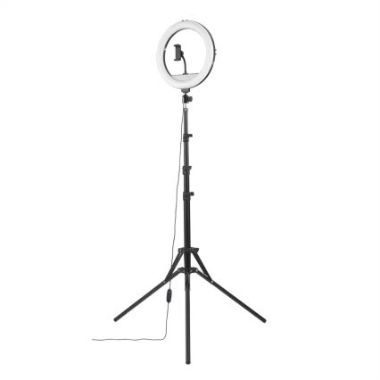 Hama - Iluminação em anel LED com regulação com tripé LED/10W/5V diâmetro 30 cm + controlo remoto